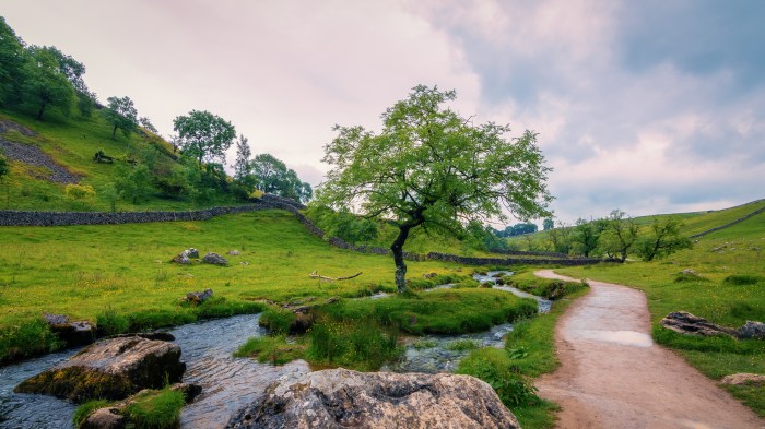 malham-2877857.jpg